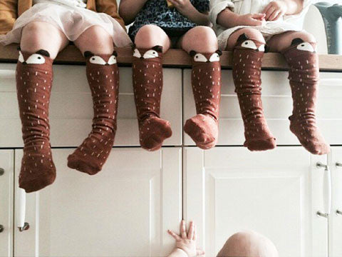 Raccoon Knee Socks